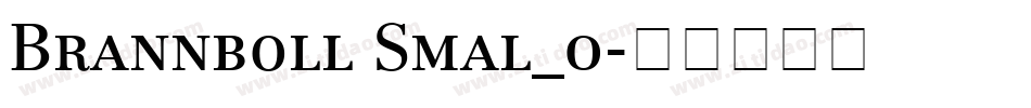 Brannboll Smal_0字体转换
